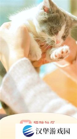 猫咪社区gps